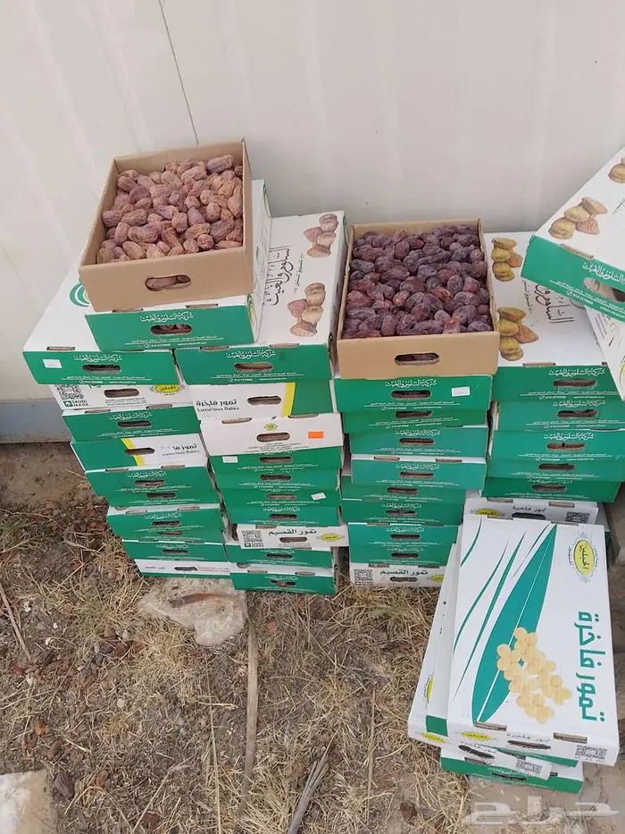 تمر علف غنم وبل 4