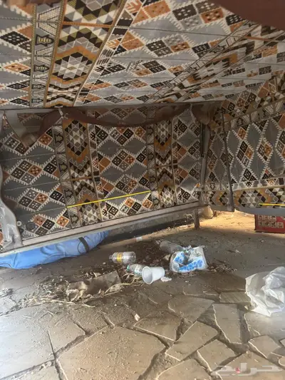 شد ونبت فورد 150 من مديل 2015 حتى2025 index