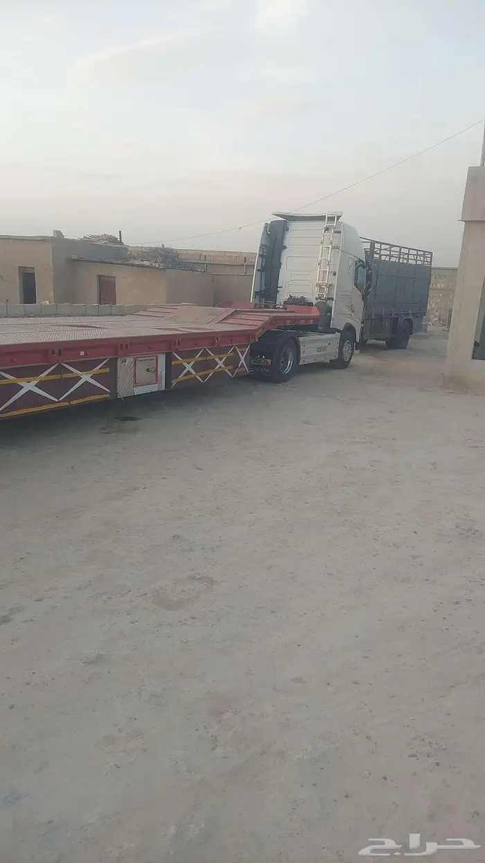 الوبد متواجد في طبرجل 0