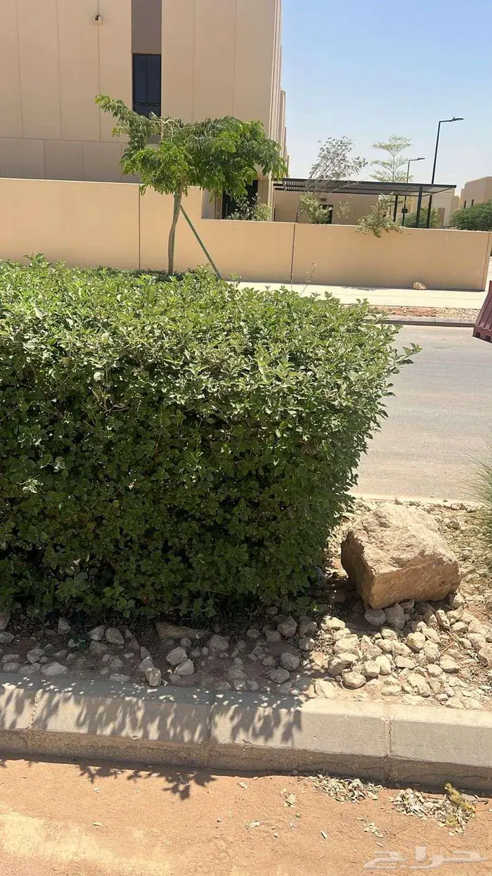 تنسيق وصيانه الحدائق 13