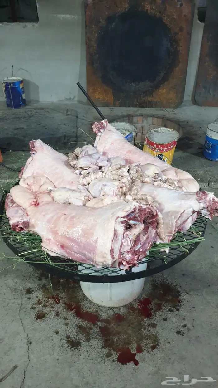حنيذ وعربي وذبايح مع الذبح والطبخ والتوصيل 70