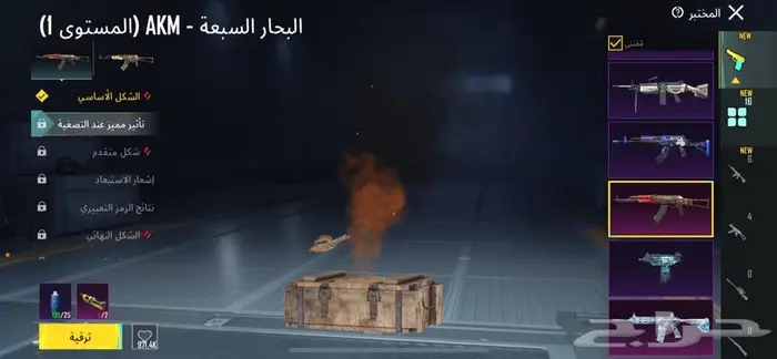 حساب ببجي 29