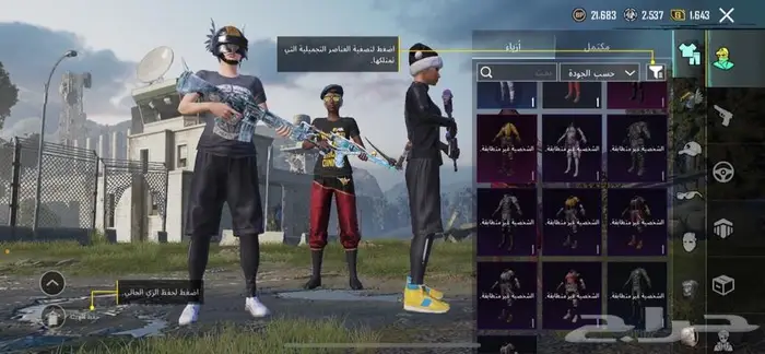 حساب ببجي 16