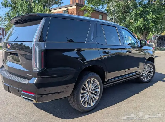 سكاليد سبورت 2025 9