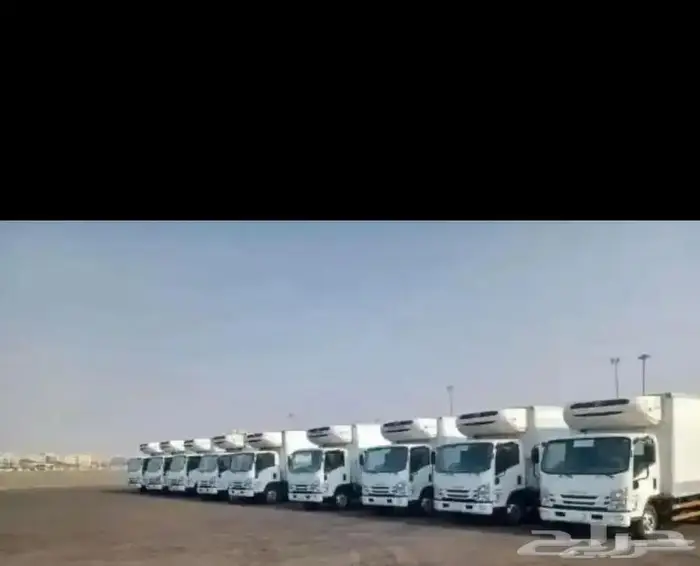 دينات للايجار تبريد وتجميد 0