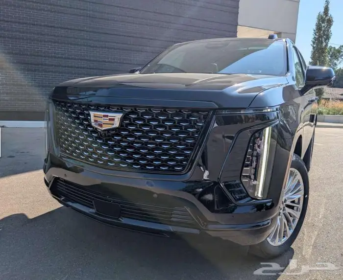 سكاليد سبورت 2025 0