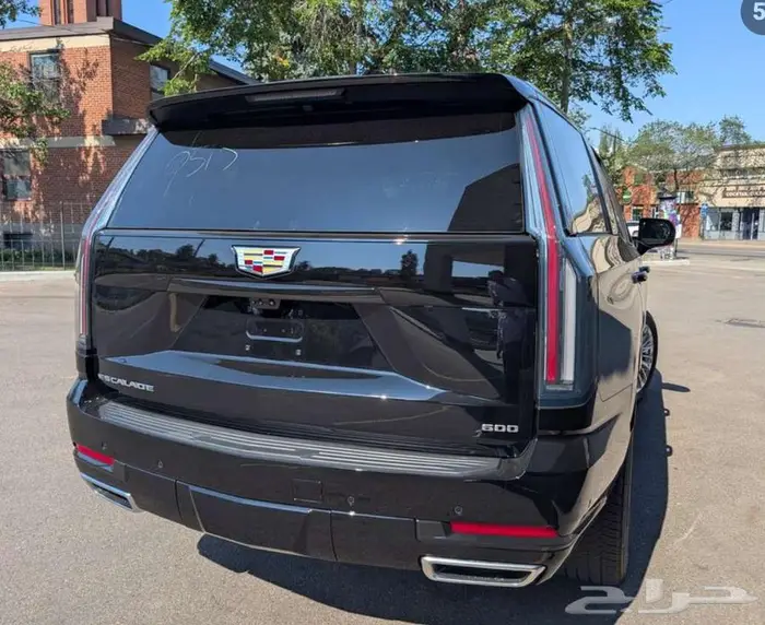 سكاليد سبورت 2025 1