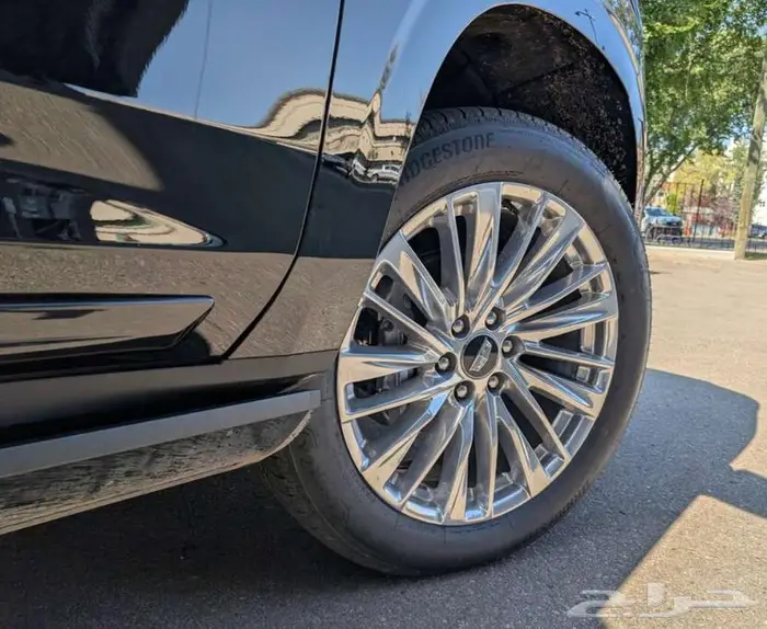 سكاليد سبورت 2025 7