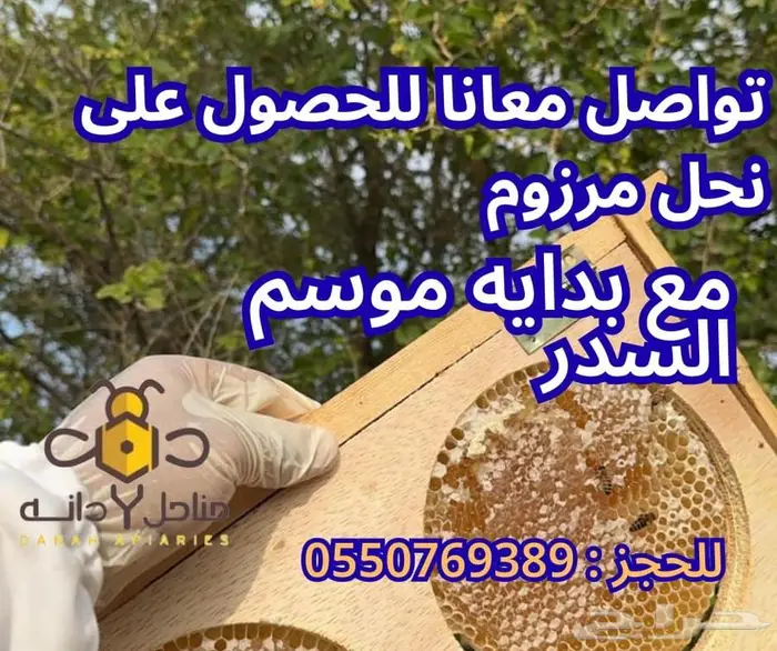 نحل مرزوم بضمان الوزن والملكات 0