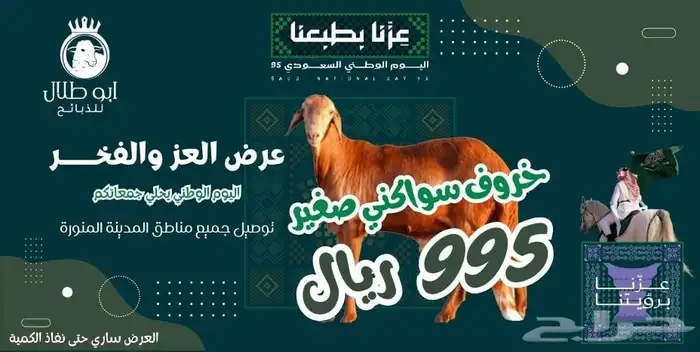 أفضل الذبائح   تنتظرك  العرض سار  لأيام محدودة. 0