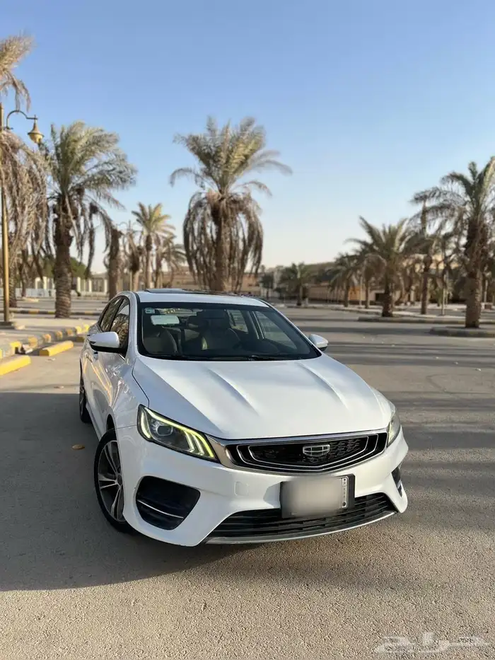 جيلي بينراي 2020 0