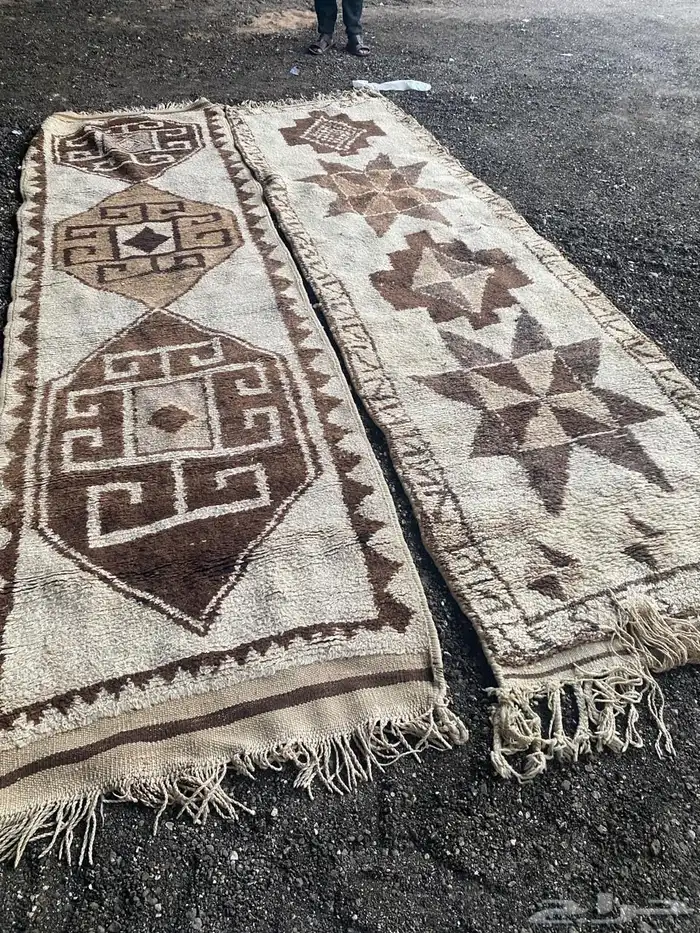 زل عراقي 8