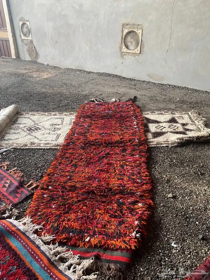 زل عراقي 1