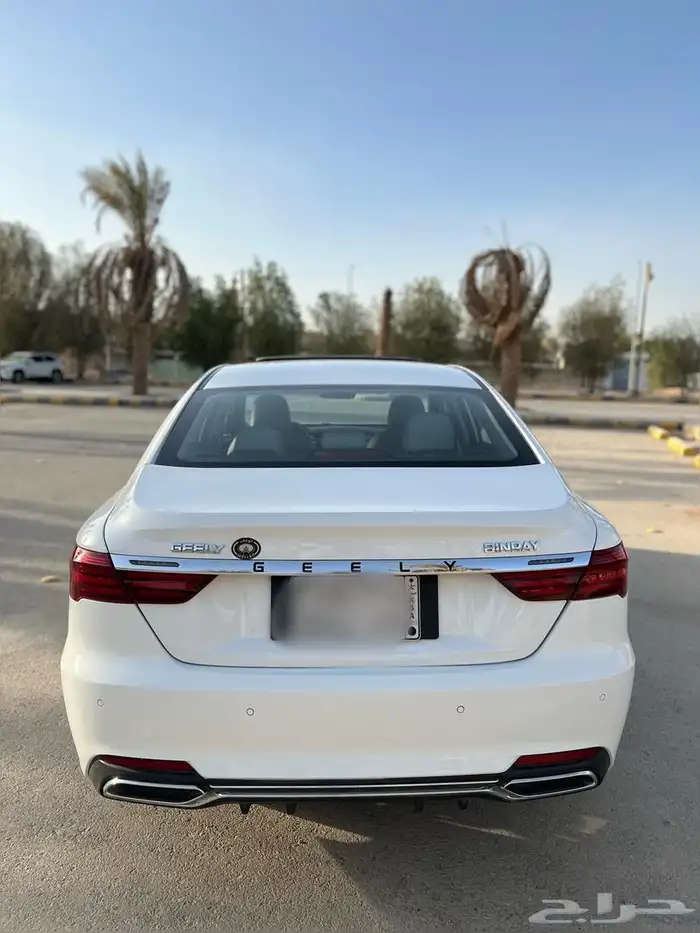 جيلي بينراي 2020 3