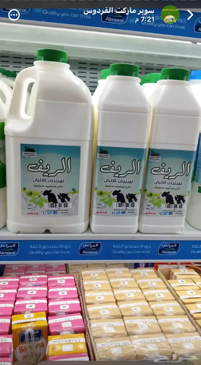 البان الريف 3