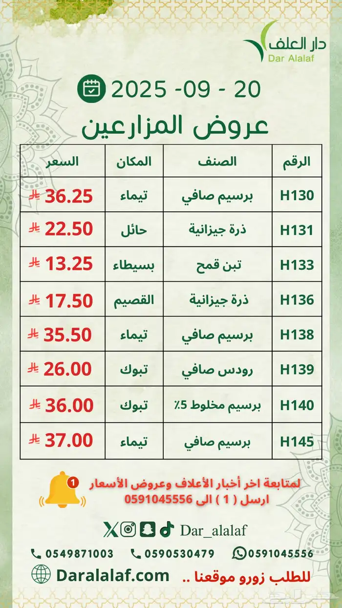برسيم اسباني مستورد جدة 4