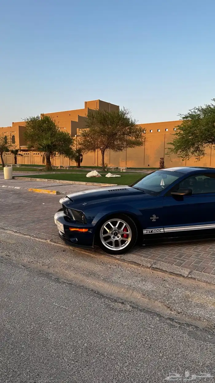 موستنج 2008 شلبي اصلGT500 1