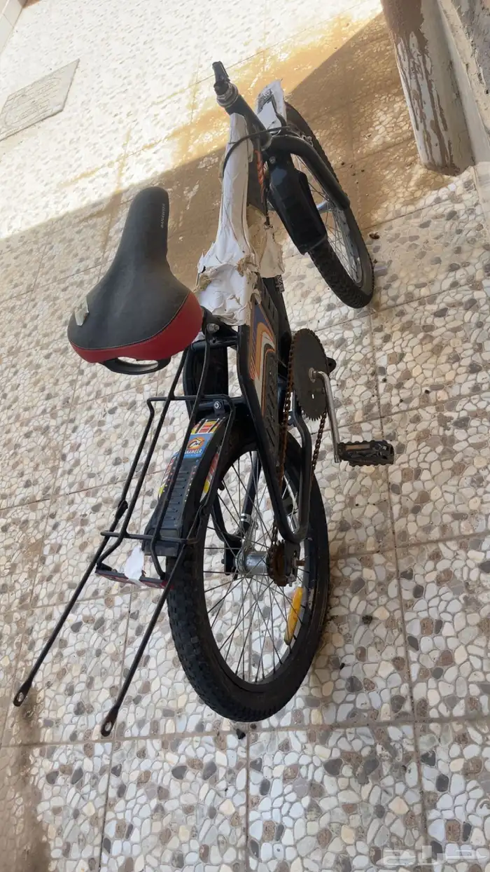 سيكل رامبو اندنوسي ماكمل 6 اشهر 3