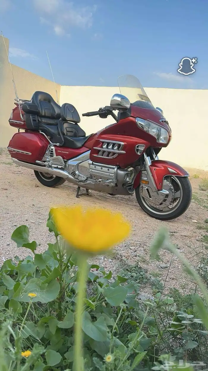 دباب قولد ونق 0