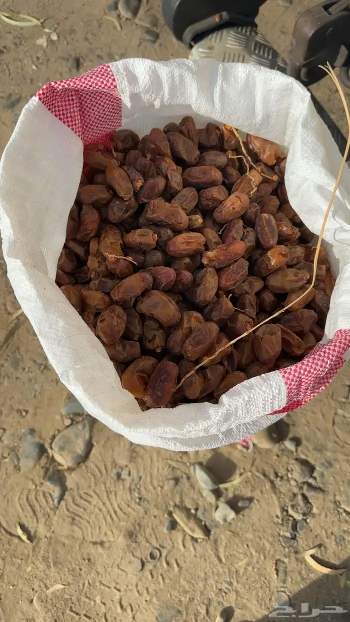 صفري في اكياس للبيع 0