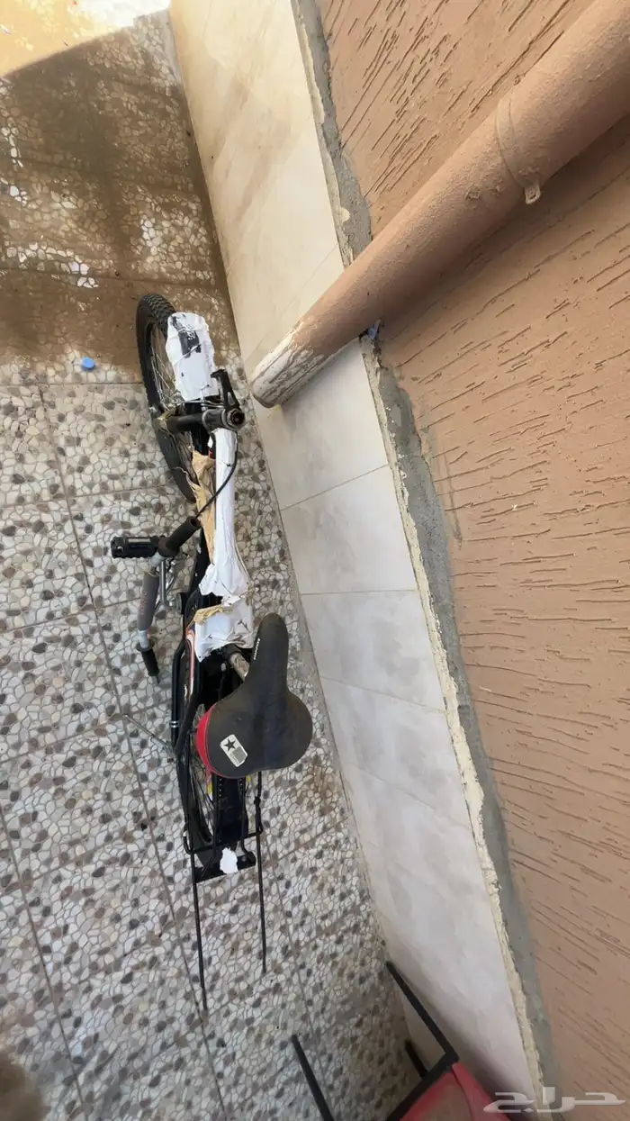 سيكل رامبو اندنوسي ماكمل 6 اشهر 1