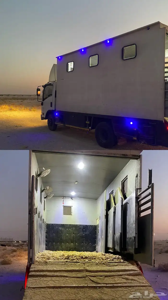 دينه خيل خمس روس 0