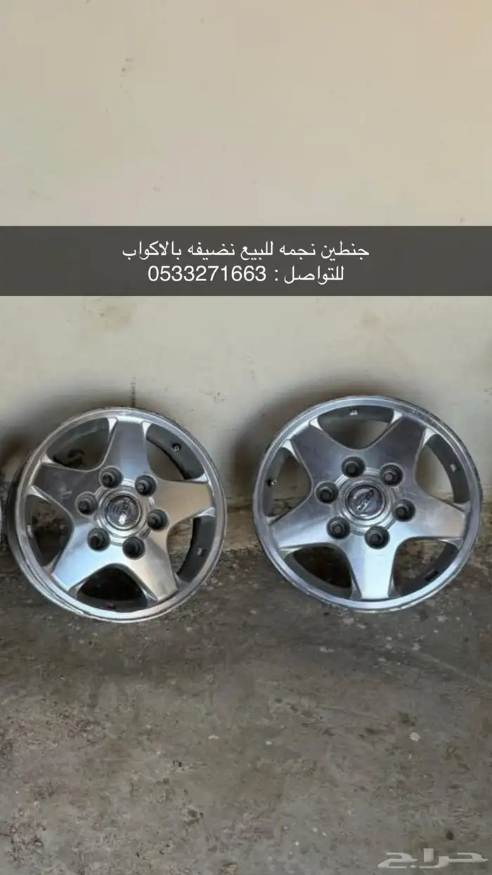 جنطين نجمه ددسن 0