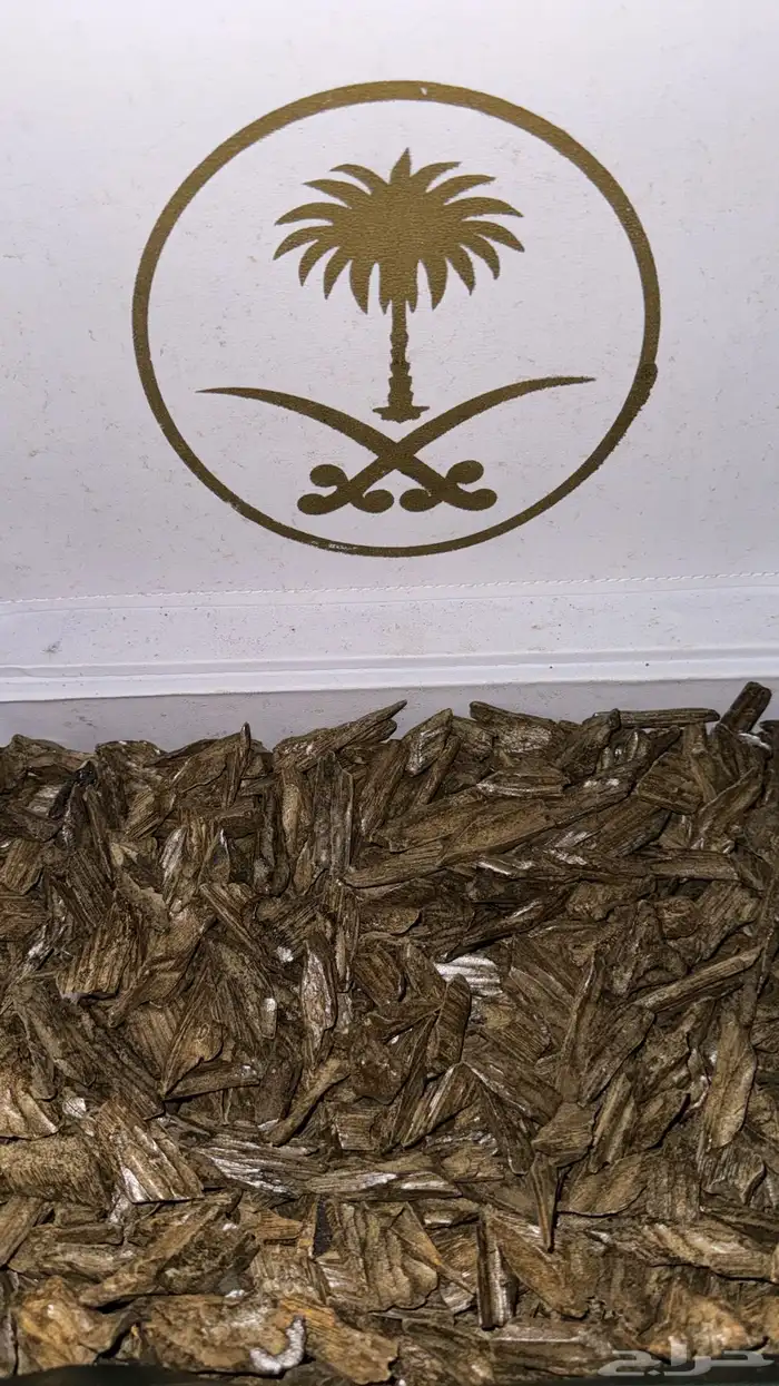 عود دقة كلمنتان VIP 0