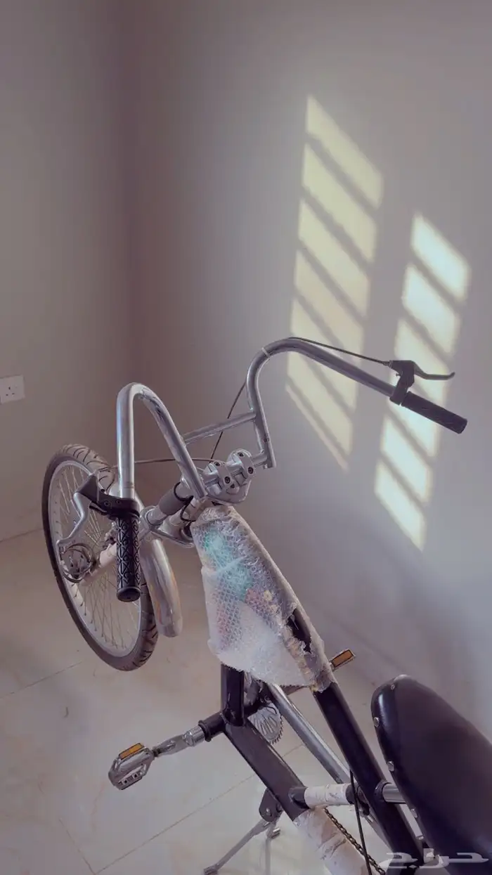 دراجة هوائية هارلي 2