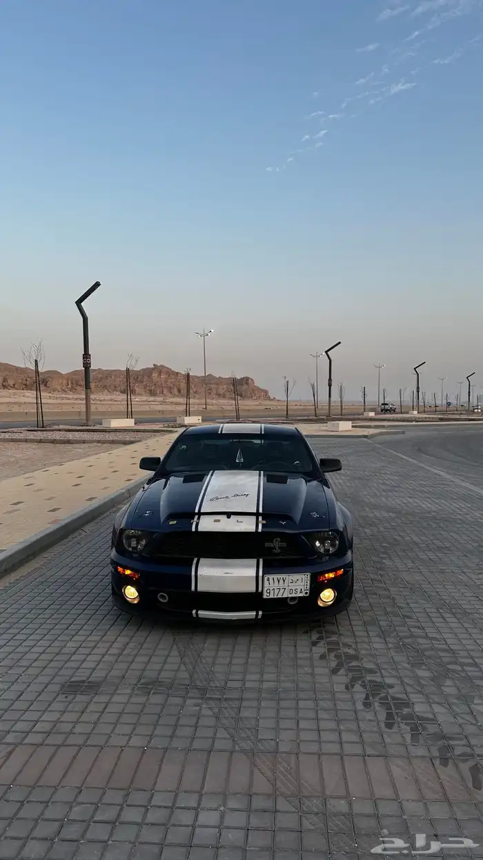 موستنج 2008 شلبي اصلGT500 8