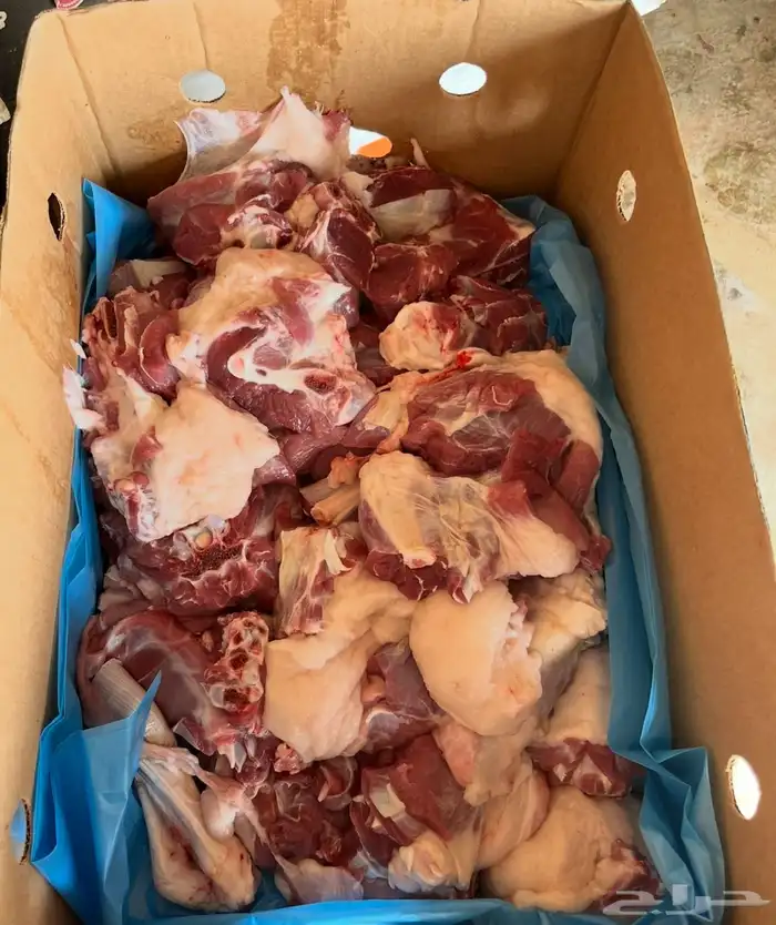 ذبايح 2
