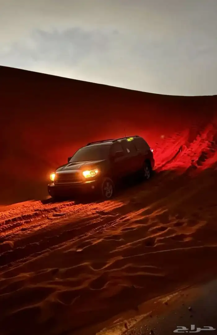 tour guide in Riyadh 2