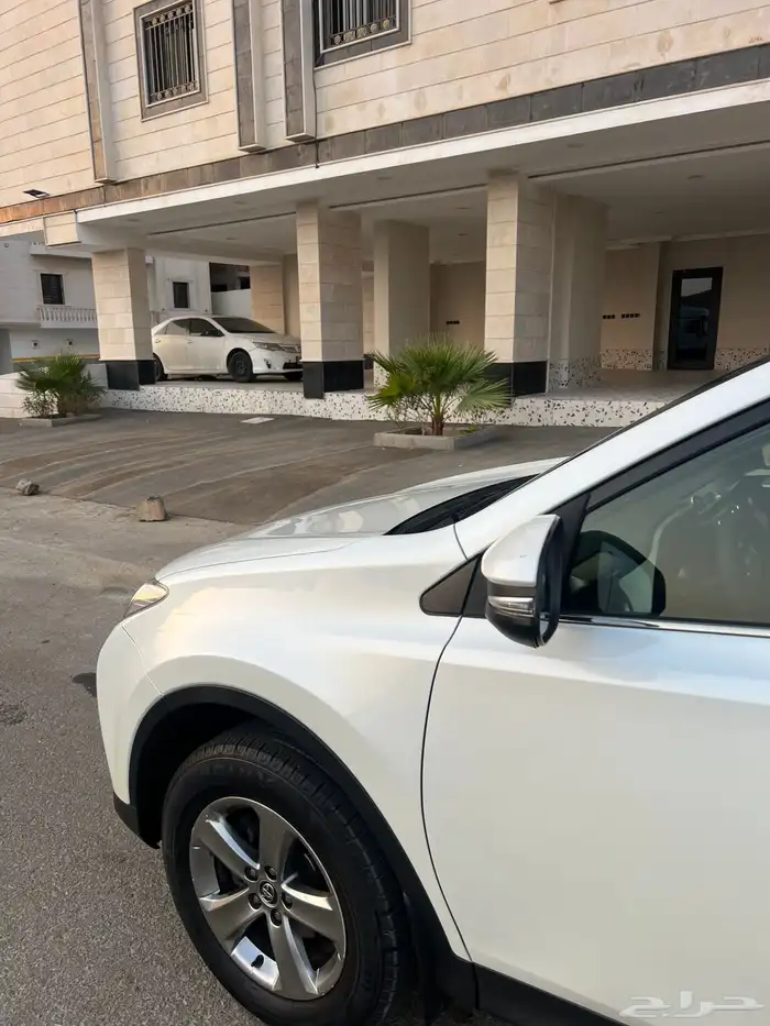 راف فور 2015 قمة في النظافة 8