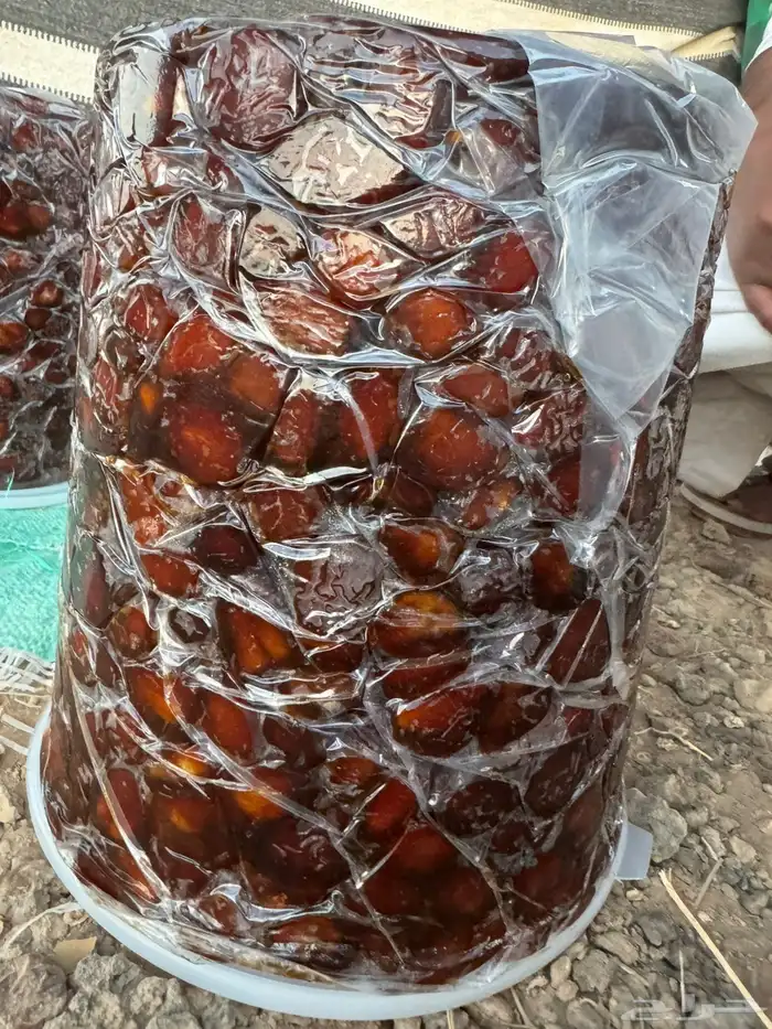 اللبيع كعيمر العيص رقم 1 2