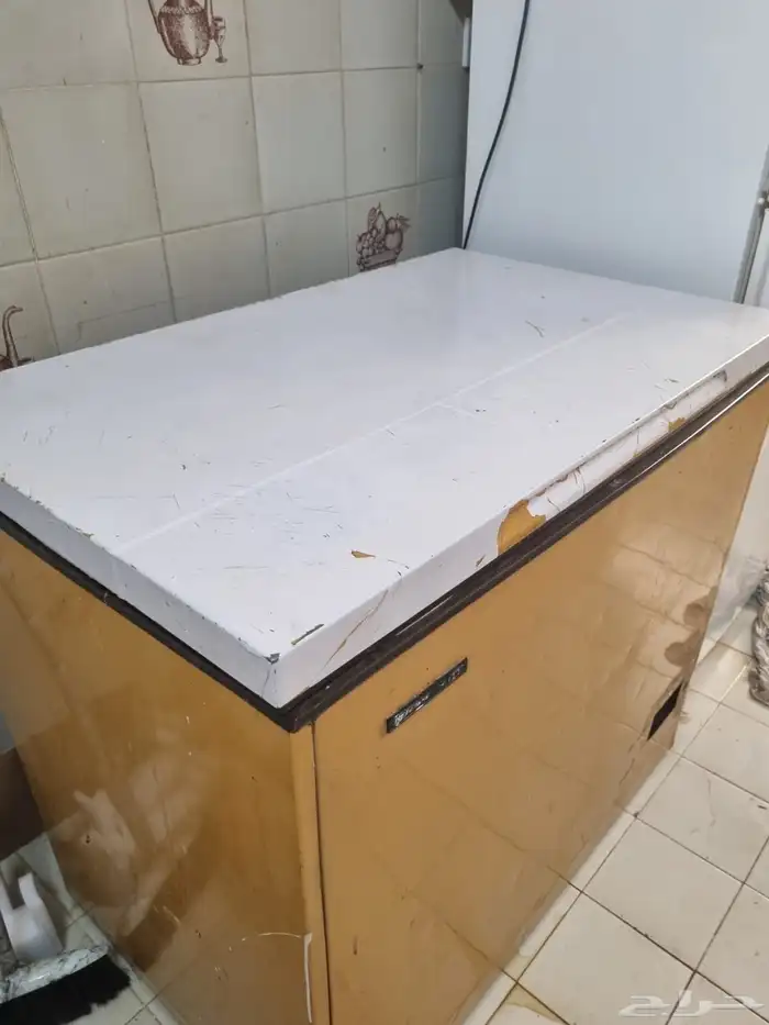 فريزر جي رام كهرباء 110 0