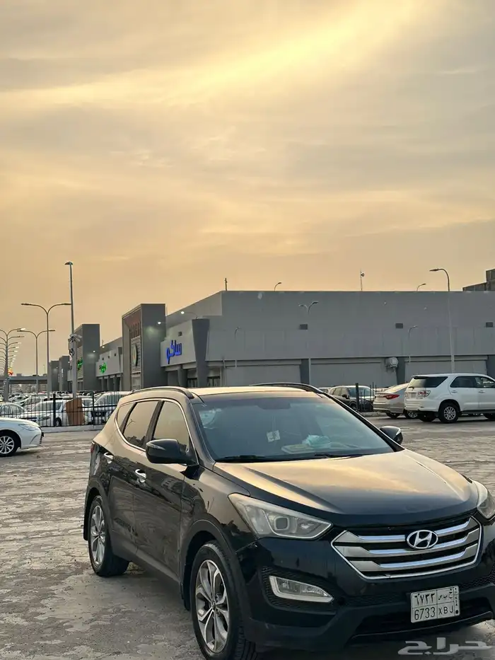 سنتافي 2014 7
