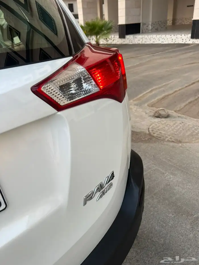 راف فور 2015 قمة في النظافة 25