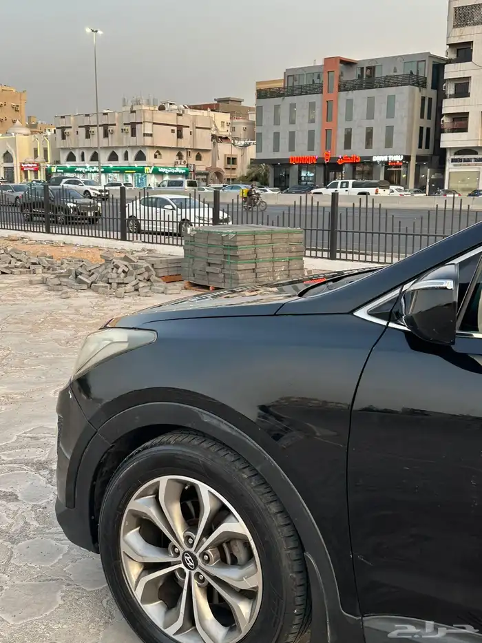 سنتافي 2014 10