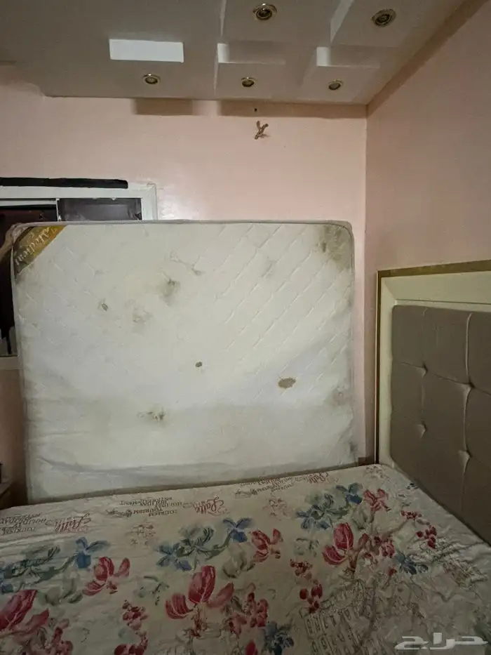 مرتبة نفرين ب100 1