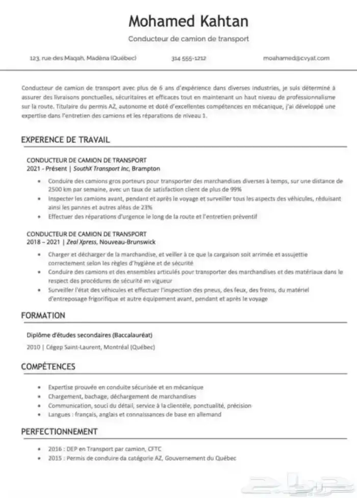 تصميم سيرة ذاتية سي في بنظام ATS 0