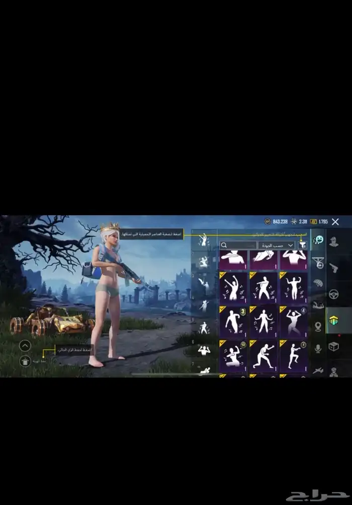 بوبجي 12