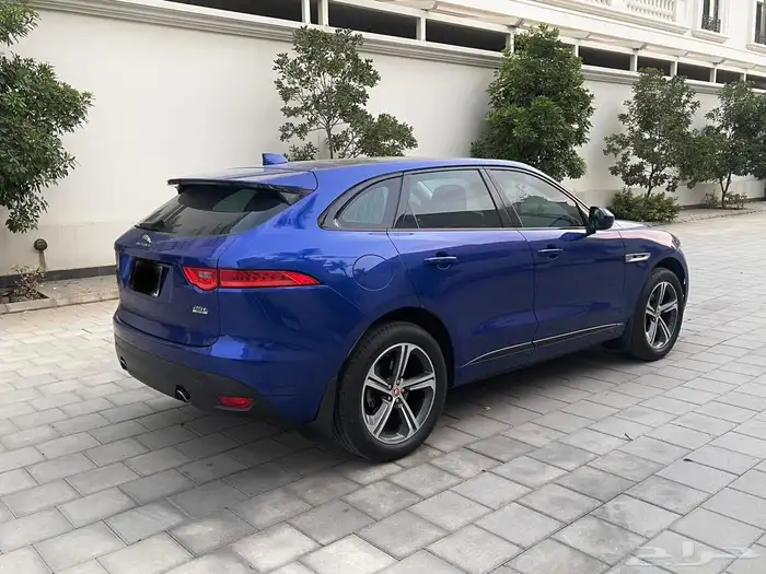 جاكوار 7