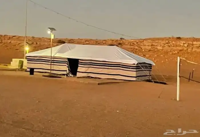 بيوت شعر البيض جميع المقصات 3