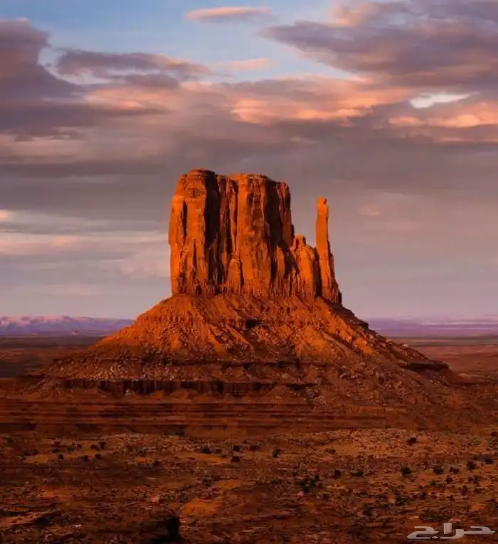 tour guide in Riyadh 0