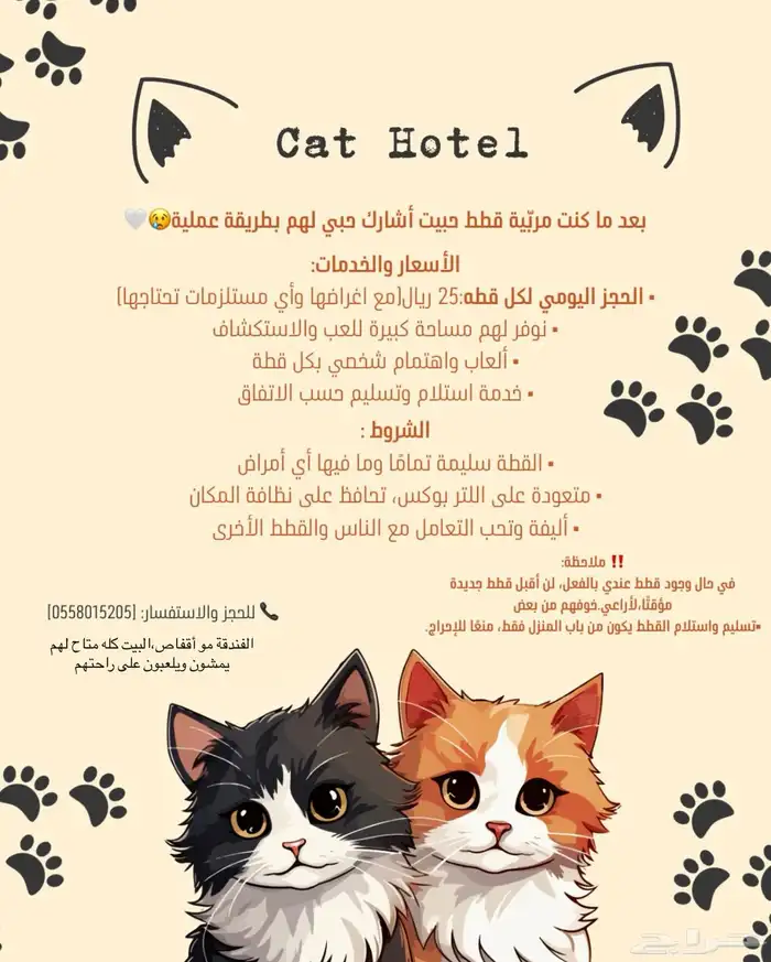 فندقه قطط 0