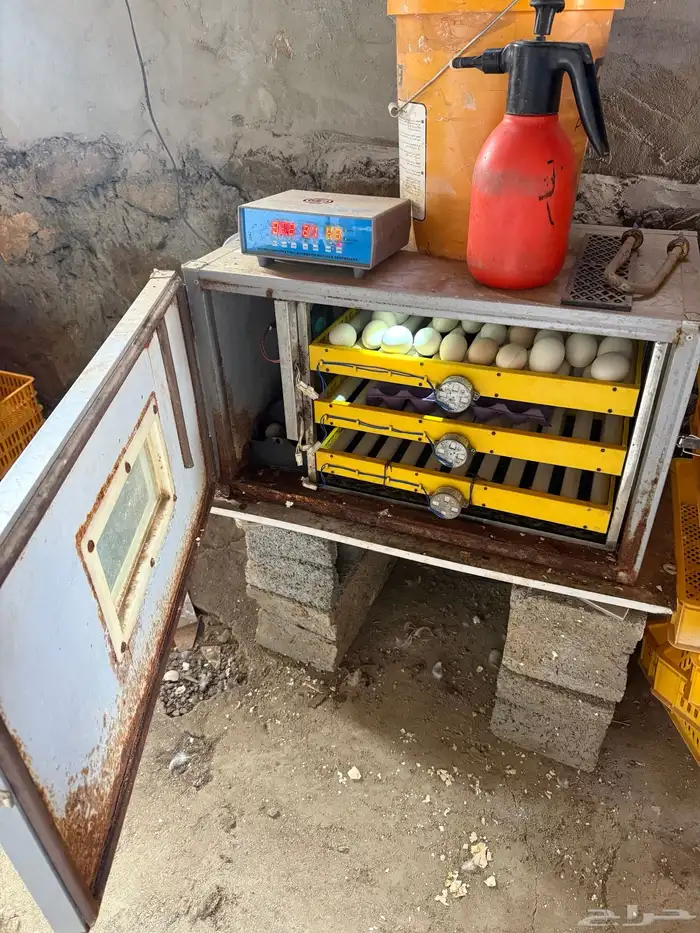 فقاسة للبيع تأخذ 180بيضة 3
