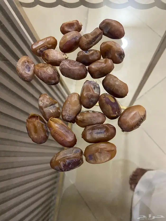 تمر خلاص الاحساء 0