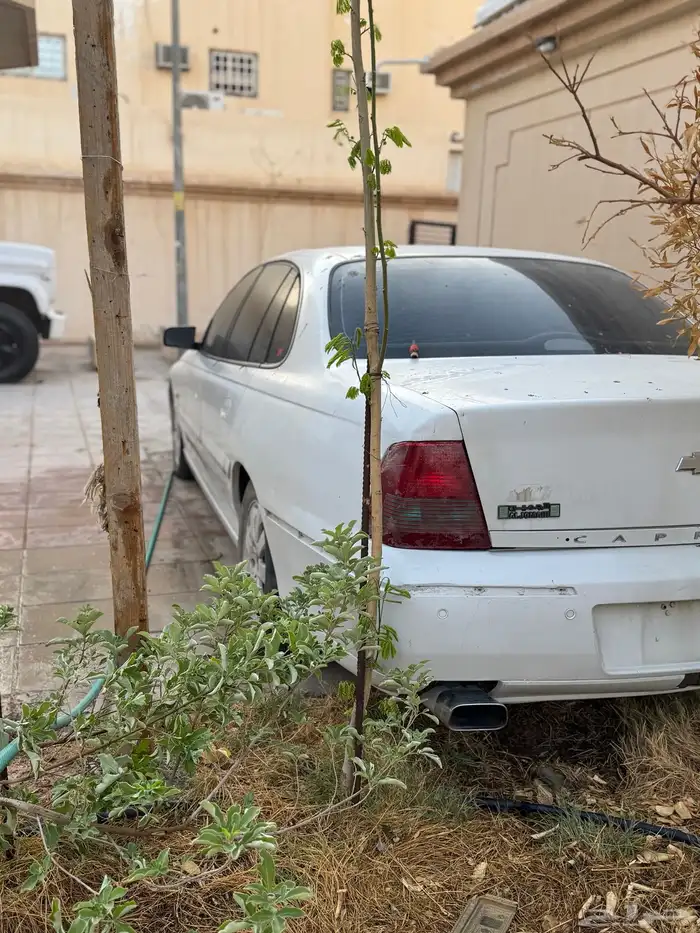 كابرس 2006 V8 LTZ 3