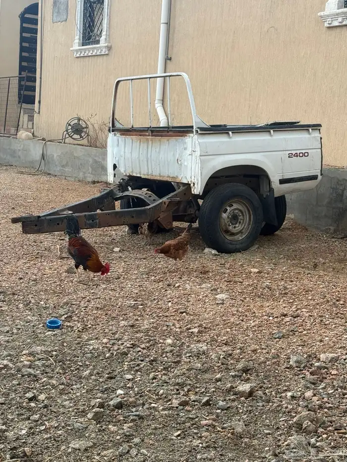 قلص صندوق ددسن للبيع 6