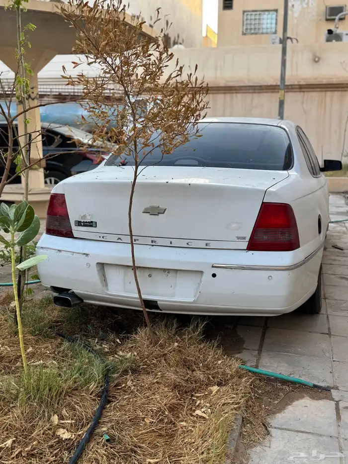 كابرس 2006 V8 LTZ 8